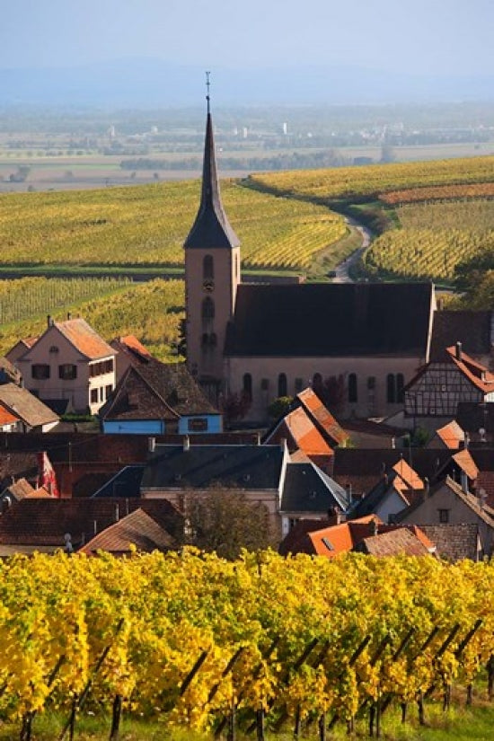 Blienschwiller Alsatian Wine Route Poster Print by Walter Bibikow