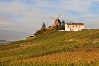 Windmill and Vineyards Poster Print by Walter Bibikow, showcasing a windmill and lush vineyards.