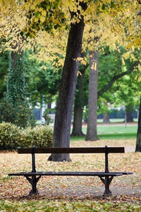 Parc de la Pepiniere Poster Print by Walter Bibikow
