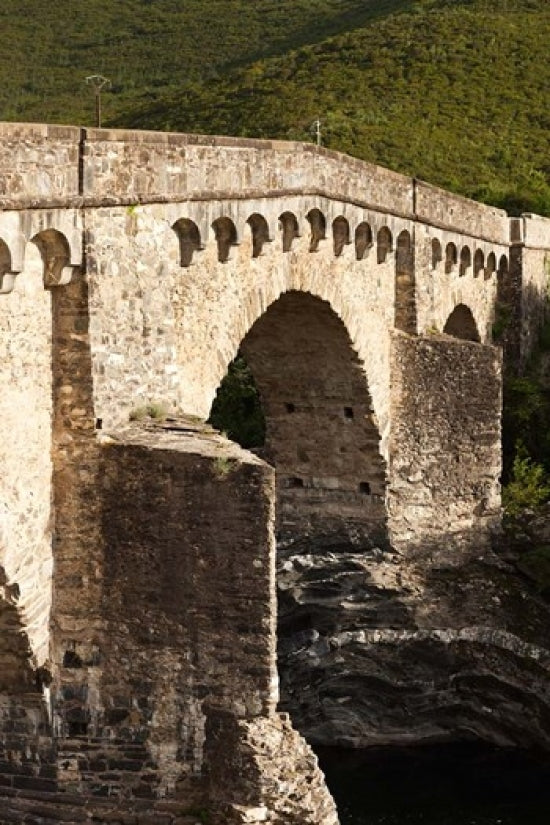 Old Genoese Bridge Poster Print by Walter Bibikow