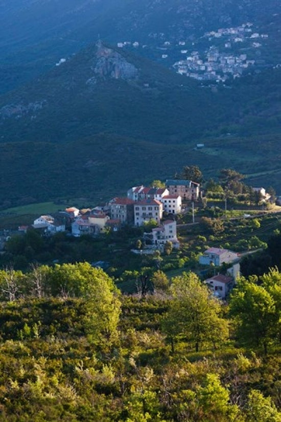 Nebbio Landscape Poster Print by Walter Bibikow featuring serene French countryside.