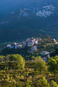 Nebbio Landscape Poster Print by Walter Bibikow featuring serene French countryside.