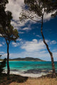 Plage de Palombaggia Beach Poster Print by Walter Bibikow