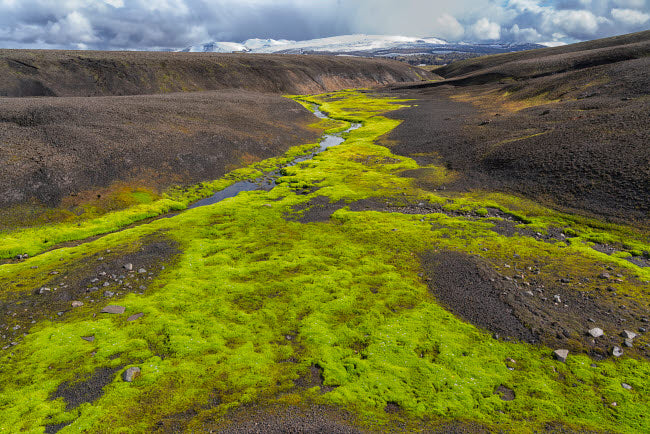 Iceland Southern Highlands poster print featuring bright green moss and black lava by Ellen Goff.
