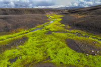 Iceland Southern Highlands poster print featuring bright green moss and black lava by Ellen Goff.