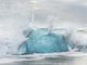 Icebergs on Black Volcanic Beach, Iceland Poster Print by Martin Zwick