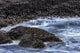 Waves crashing against basalt columns at the Giant's Causeway poster print by Chuck Haney.