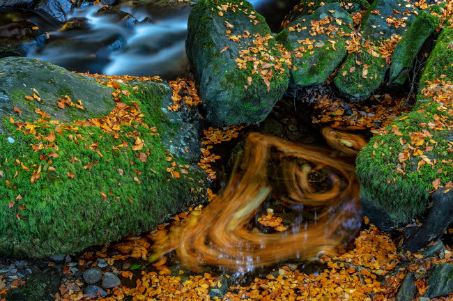 Torc Creek in Killarney National Park Art Print by Chuck Haney