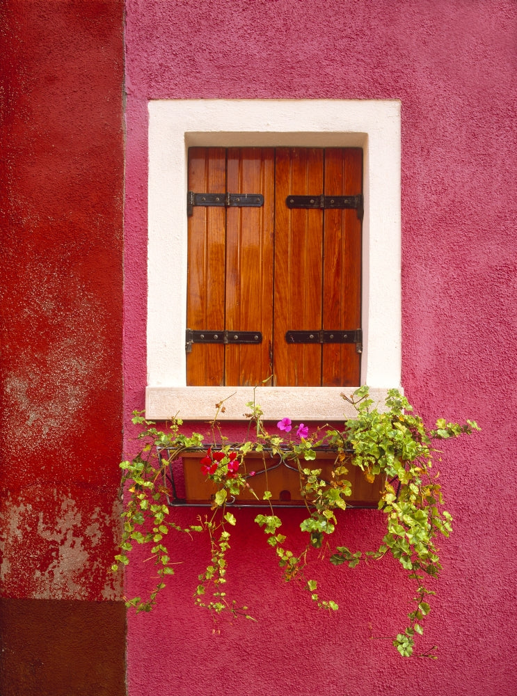 Burano colorful windows and walls poster print by Jaynes Gallery.