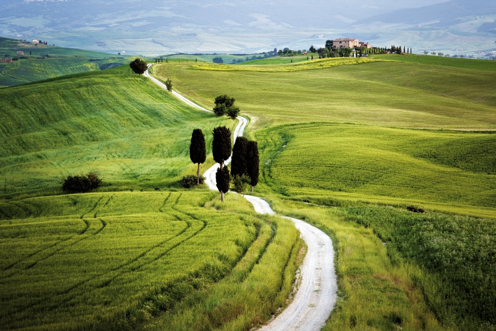 Val d'Orcia Road to Terrapile farmhouse poster print capturing the beauty of Tuscany.