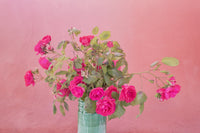 Roses in vase fine art print inspired by Vernazza, Italy