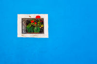 Burano Window of Colorful Houses Poster Print by Jaynes Gallery