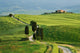 Val d'Orcia dirt road leading to a villa print by Dennis Flaherty.