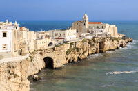Old Town of Vieste Cityscape Poster Print by Emily Wilson