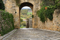 Monteriggioni Arched Exit-Way Poster Print by Emily Wilson