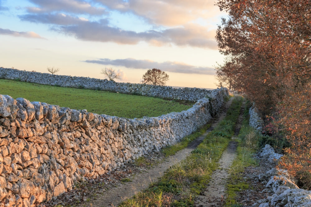 Italy Puglia scenic poster print featuring a small road and trees against a blue sky.