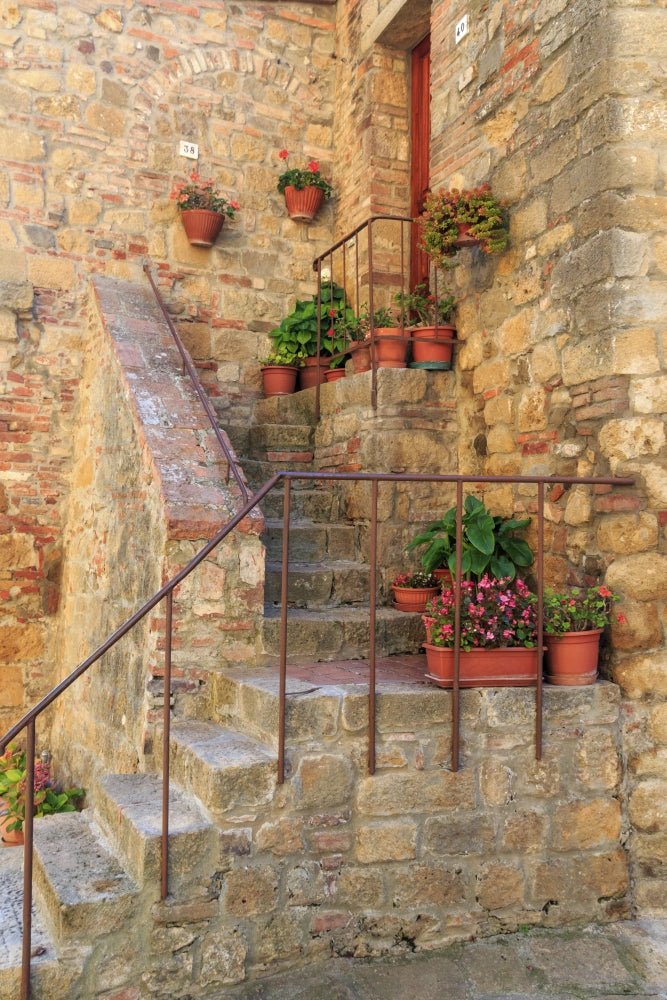 Italy Val d'Orcia in Tuscany Poster Print by Emily Wilson with stairs and potted flowers.