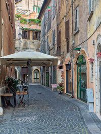 Tivoli streets and alleyways poster print by Julie Eggers
