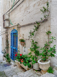 Ostuni Blue Door and Potted Plants Poster Print by Julie Eggers