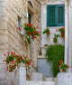 Potted flowers at the entrance of a home in Ostuni, Italy - Poster Print by Julie Eggers