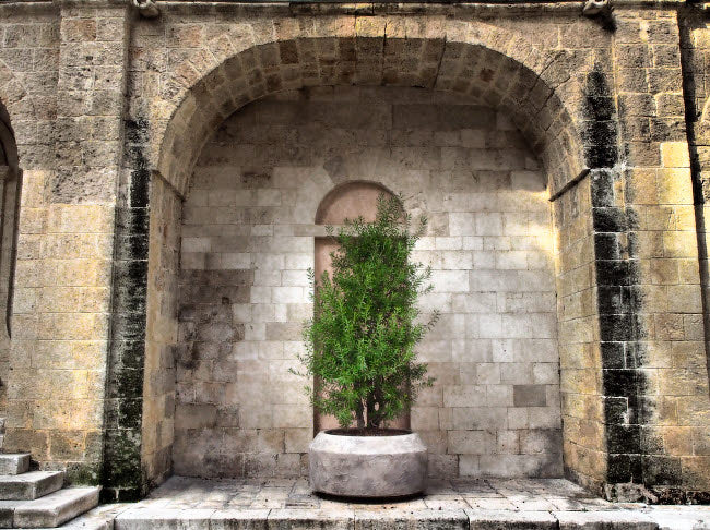 Monopoli Arch Courtyard Poster Print by Julie Eggers featuring potted plants and Basilica of the Madonna della Madia.