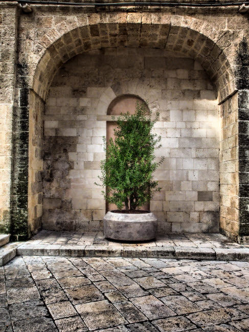 Monopoli Arch with potted plants in courtyard art print by Julie Eggers.