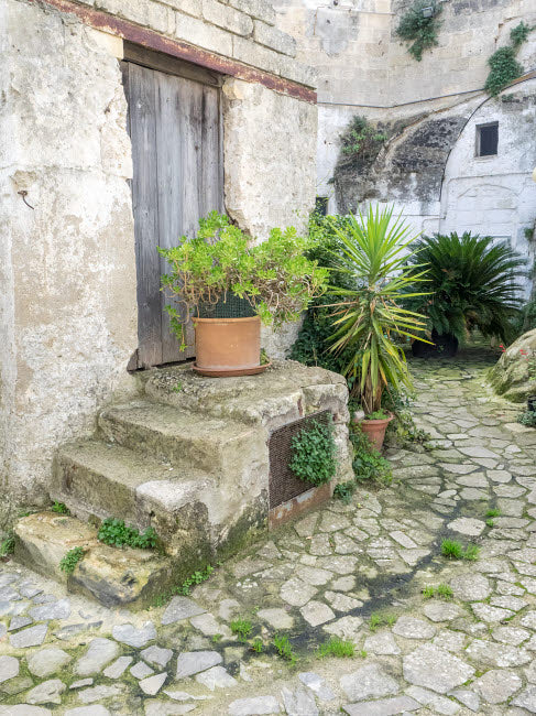 Italy Basilicata Matera Plants Poster Print by Julie Eggers showcasing greenery on Sassi houses