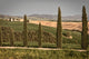 Cappella Vitaleta Poster Print capturing the serene beauty of Tuscany by John Ford.
