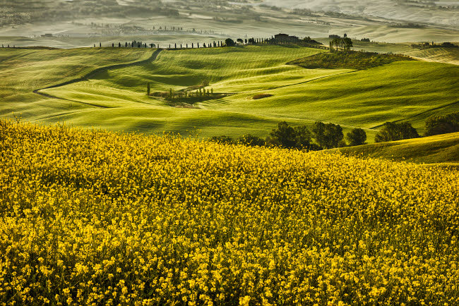 Val d'Orcia Tuscany Poster Print by John Ford showcasing scenic Italian landscapes.