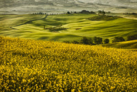 Val d'Orcia Tuscany Poster Print by John Ford showcasing scenic Italian landscapes.