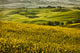 Val d'Orcia Tuscany Poster Print by John Ford showcasing scenic Italian landscapes.