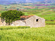 Sicilian Countryside Poster Print featuring Alcamo by Terry Eggers