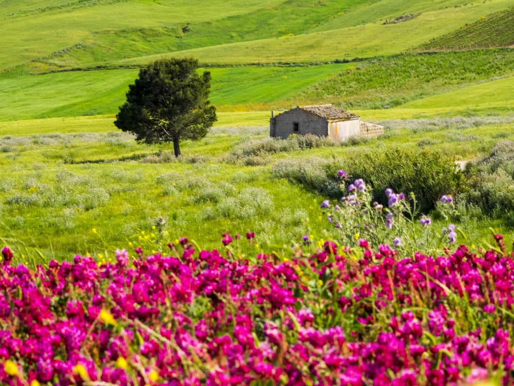 Alcamo Countryside Poster Print by Terry Eggers showcasing the beautiful Sicilian landscape.
