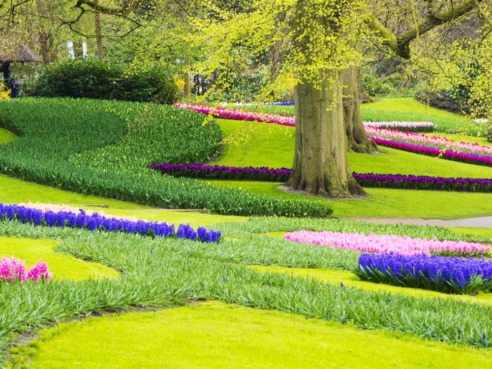 Multicolored flowers blooming in spring poster print by Terry Eggers.