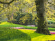 Multicolored flowers in spring landscape in Lisse, Netherlands poster print by Terry Eggers.