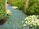 River of Flowers Poster Print by Terry Eggers showcasing vibrant floral landscape