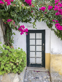 Portugal Obidos bougainvillea doorway poster print by Julie Eggers