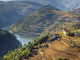 Douro Valley Vineyards in Autumn Poster Print by Julie Eggers