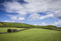 Serra do Cume fields in springtime poster print by Walter Bibikow