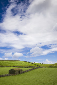 Serra do Cume fields in springtime poster print featuring vibrant greens by Walter Bibikow.