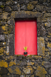 Red doors on barn in Madalena, Pico Island poster print by Walter Bibikow.