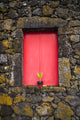 Red doors on barn in Madalena, Pico Island poster print by Walter Bibikow.