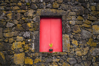Red doors on a barn in Pico Island, Azores - Poster Print by Walter Bibikow