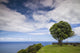 Baia de Santa Iria Poster Print by Walter Bibikow showcasing Sao Miguel Island in the Azores.