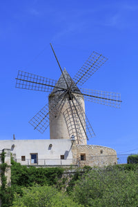 Palma Windmill Poster Print by Emily Wilson, depicting Mallorca's scenic beauty.
