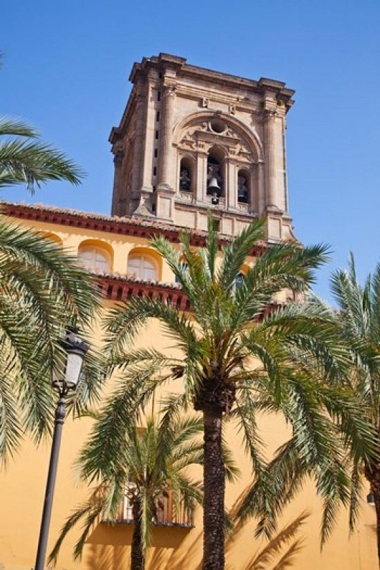 Spain Granada Cathedral Bell Tower Poster Print by Julie Eggers