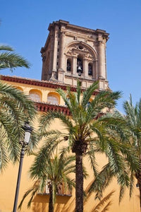 Spain Granada Cathedral Bell Tower Poster Print by Julie Eggers