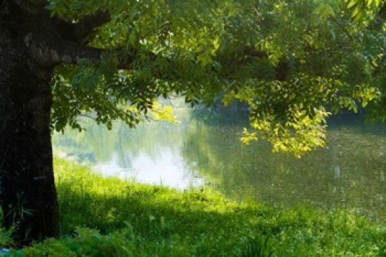 Poster print of Ason River in Ramales de la Victoria, Cantabria, Spain