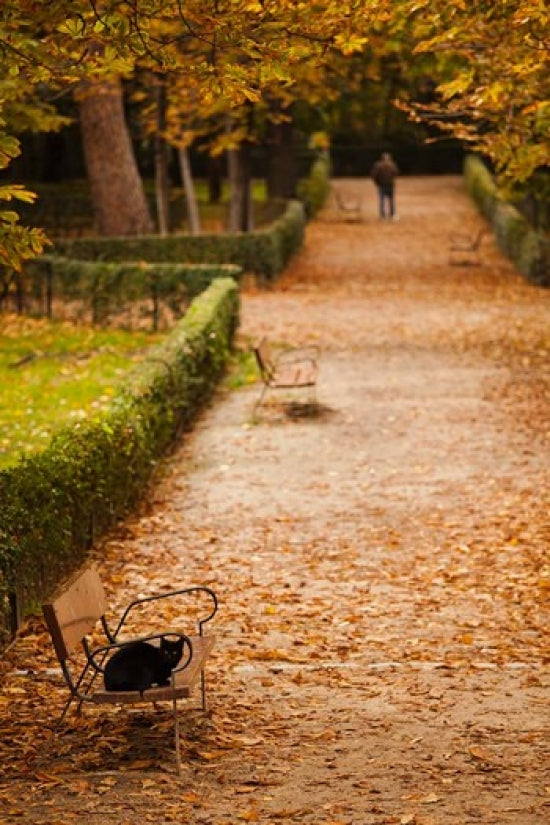 Parque del Buen Retiro, Madrid, Spain Poster Print by Walter Bibikow