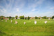 http://c328301.r1.cf1.rackcdn.com/PDDEU33MWR0003.jpg